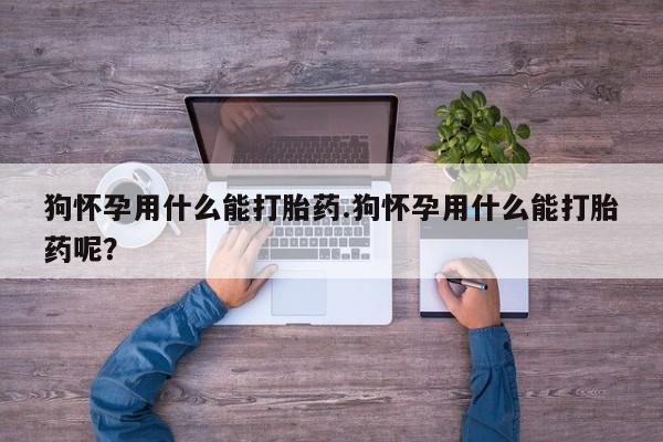 堕胎药狗怀孕用什么能打胎药.狗怀孕用什么能打胎药呢？