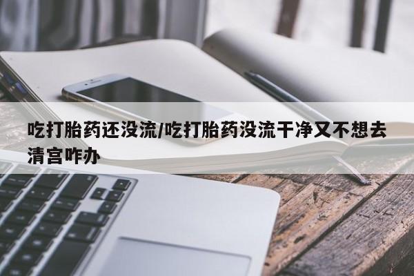 堕胎药吃打胎药还没流/吃打胎药没流干净又不想去清宫咋办