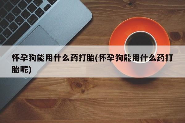 堕胎药怀孕狗能用什么药打胎(怀孕狗能用什么药打胎呢)