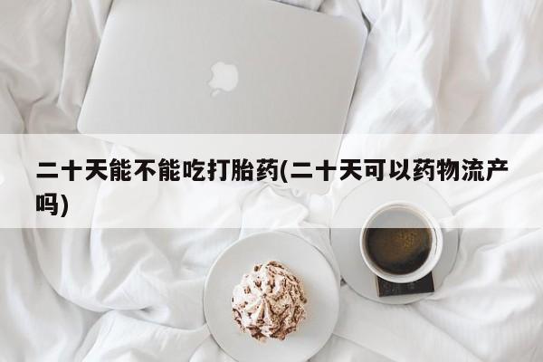 堕胎药二十天能不能吃打胎药(二十天可以药物流产吗)
